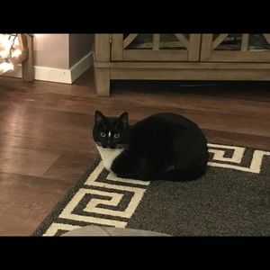 Meet your Posher, Cheryl